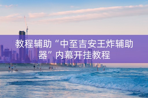 教程辅助“中至吉安王炸辅助器”内幕开挂教程