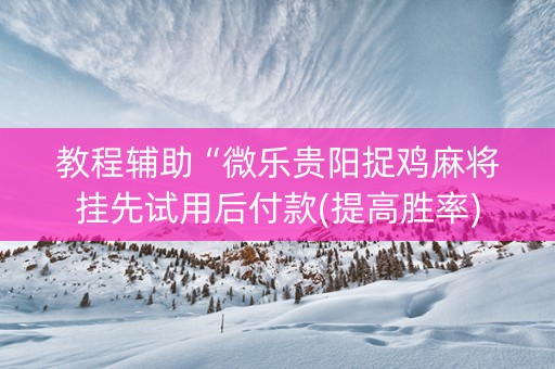 教程辅助“微乐贵阳捉鸡麻将挂先试用后付款(提高胜率)