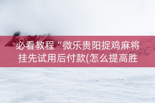 必看教程“微乐贵阳捉鸡麻将挂先试用后付款(怎么提高胜率)