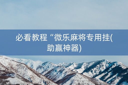 必看教程“微乐麻将专用挂(助赢神器)