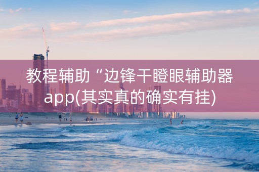 教程辅助“边锋干瞪眼辅助器app(其实真的确实有挂)