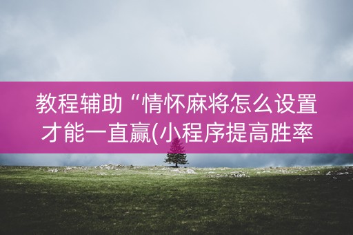 教程辅助“情怀麻将怎么设置才能一直赢(小程序提高胜率)