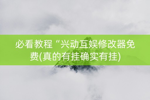必看教程“兴动互娱修改器免费(真的有挂确实有挂)