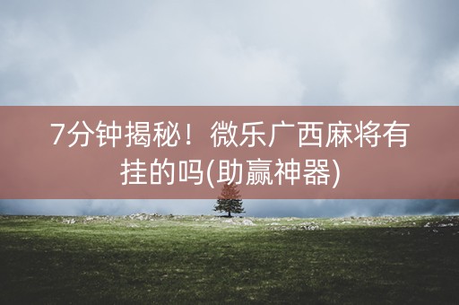 7分钟揭秘！微乐广西麻将有挂的吗(助赢神器)