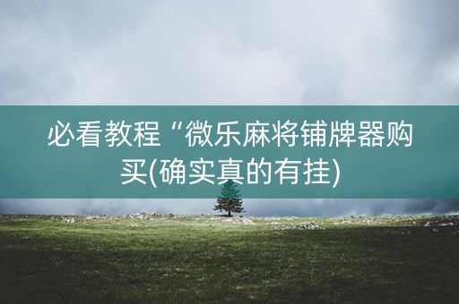 必看教程“微乐麻将铺牌器购买(确实真的有挂)