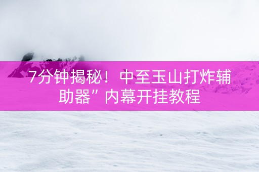 7分钟揭秘！中至玉山打炸辅助器”内幕开挂教程