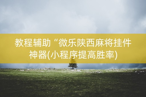 教程辅助“微乐陕西麻将挂件神器(小程序提高胜率)