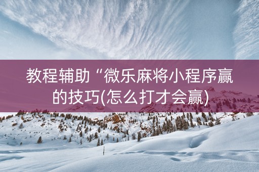 教程辅助“微乐麻将小程序赢的技巧(怎么打才会赢)