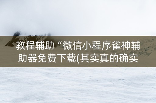 教程辅助“微信小程序雀神辅助器免费下载(其实真的确实有挂)