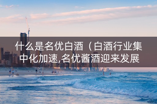 什么是名优白酒（白酒行业集中化加速,名优酱酒迎来发展好时代）