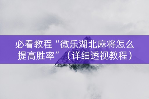 必看教程“微乐湖北麻将怎么提高胜率”（详细透视教程）-哔哩哔哩