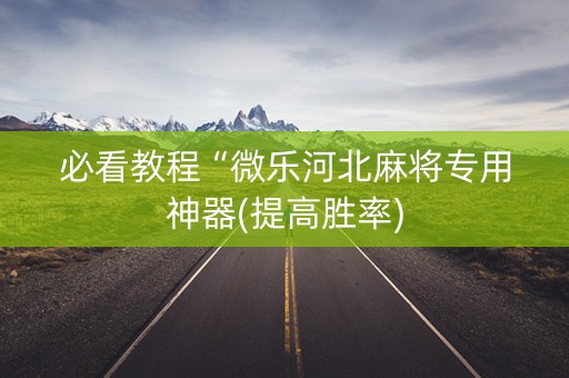 必看教程“微乐河北麻将专用神器(提高胜率)