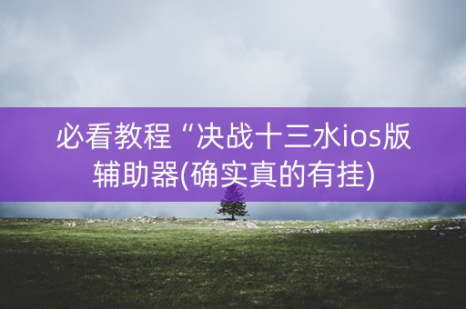 必看教程“决战十三水ios版辅助器(确实真的有挂)