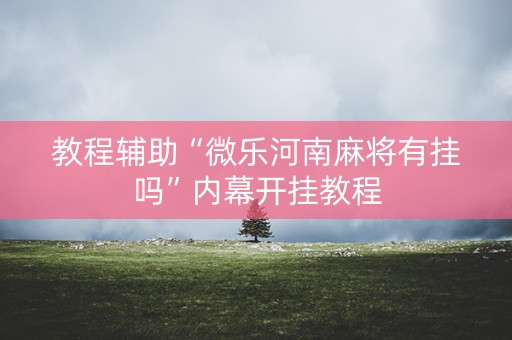 教程辅助“微乐河南麻将有挂吗”内幕开挂教程