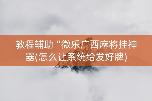 教程辅助“微乐广西麻将挂神器(怎么让系统给发好牌)