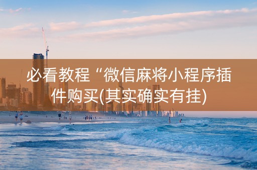 必看教程“微信麻将小程序插件购买(其实确实有挂)