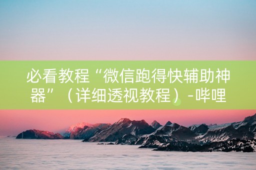 必看教程“微信跑得快辅助神器”（详细透视教程）-哔哩哔哩