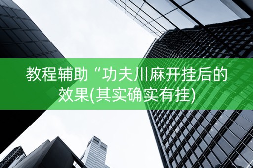 教程辅助“功夫川麻开挂后的效果(其实确实有挂)