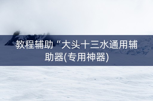 教程辅助“大头十三水通用辅助器(专用神器)