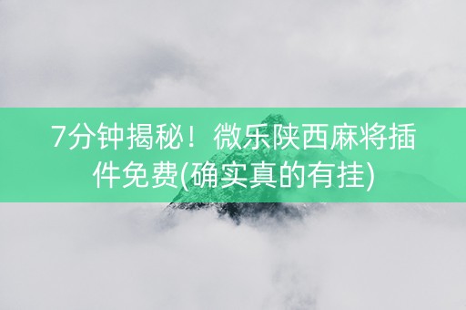 7分钟揭秘！微乐陕西麻将插件免费(确实真的有挂)