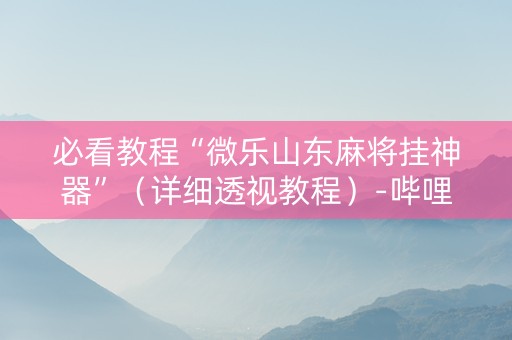 必看教程“微乐山东麻将挂神器”（详细透视教程）-哔哩哔哩