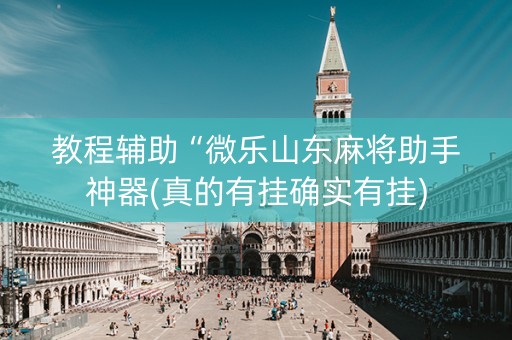 教程辅助“微乐山东麻将助手神器(真的有挂确实有挂)