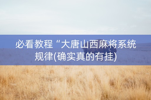 必看教程“大唐山西麻将系统规律(确实真的有挂)