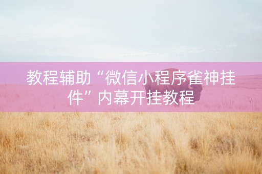 教程辅助“微信小程序雀神挂件”内幕开挂教程