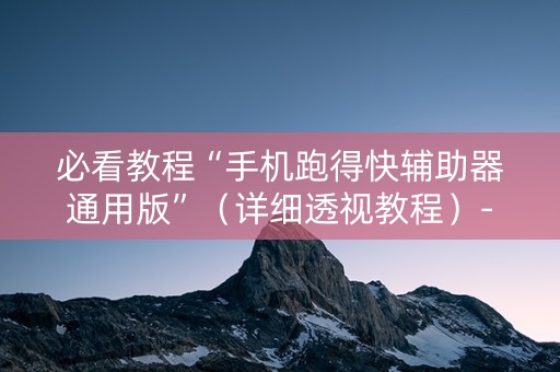 必看教程“手机跑得快辅助器通用版”（详细透视教程）-哔哩哔哩