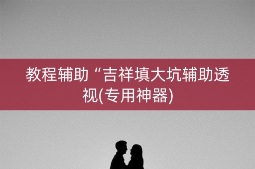 教程辅助“吉祥填大坑辅助透视(专用神器)