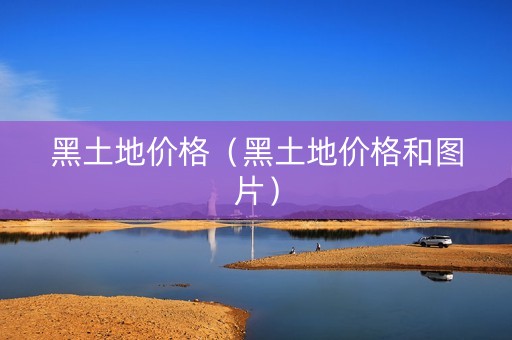 黑土地价格（黑土地价格和图片）