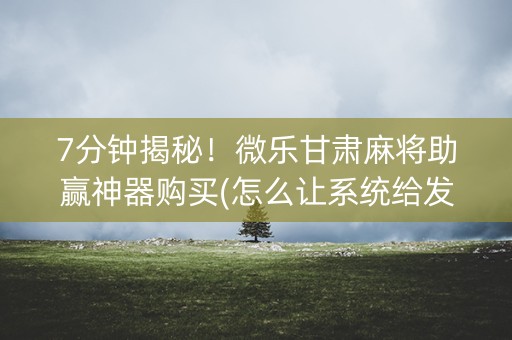 7分钟揭秘！微乐甘肃麻将助赢神器购买(怎么让系统给发好牌)