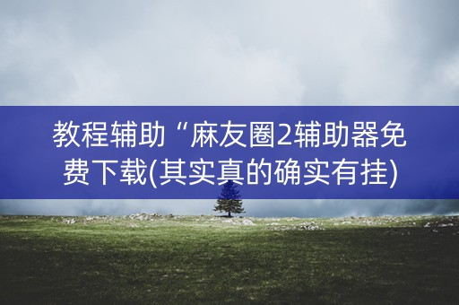 教程辅助“麻友圈2辅助器免费下载(其实真的确实有挂)