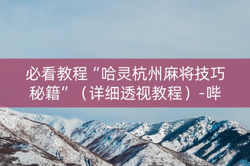 必看教程“哈灵杭州麻将技巧秘籍”（详细透视教程）-哔哩哔哩