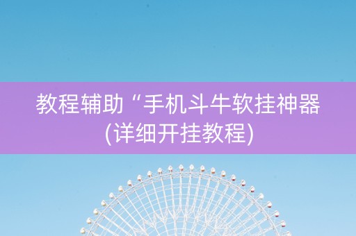教程辅助“手机斗牛软挂神器(详细开挂教程)