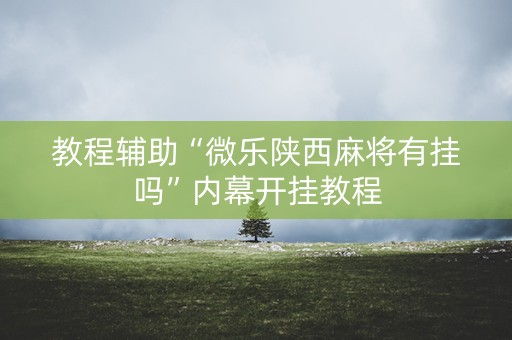 教程辅助“微乐陕西麻将有挂吗”内幕开挂教程