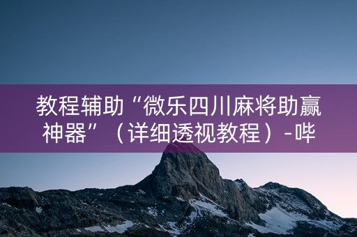 教程辅助“微乐四川麻将助赢神器”（详细透视教程）-哔哩哔哩