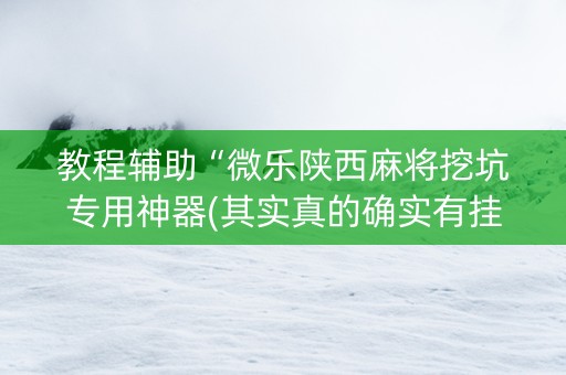 教程辅助“微乐陕西麻将挖坑专用神器(其实真的确实有挂)