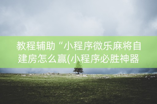 教程辅助“小程序微乐麻将自建房怎么赢(小程序必胜神器)