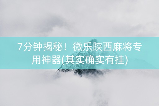 7分钟揭秘！微乐陕西麻将专用神器(其实确实有挂)
