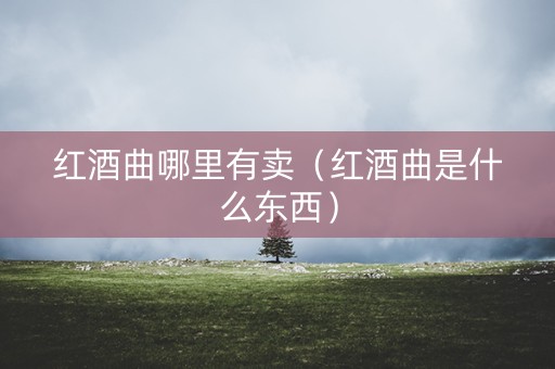 红酒曲哪里有卖（红酒曲是什么东西）