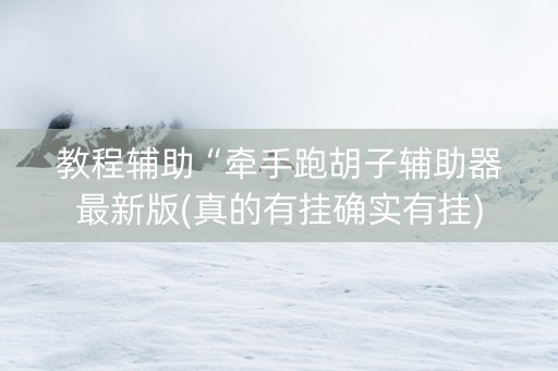 教程辅助“牵手跑胡子辅助器最新版(真的有挂确实有挂)