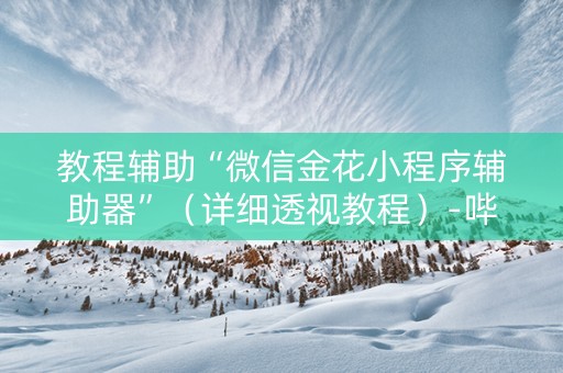 教程辅助“微信金花小程序辅助器”（详细透视教程）-哔哩哔哩