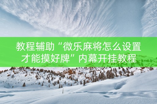 教程辅助“微乐麻将怎么设置才能摸好牌”内幕开挂教程