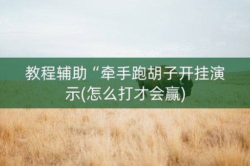 教程辅助“牵手跑胡子开挂演示(怎么打才会赢)