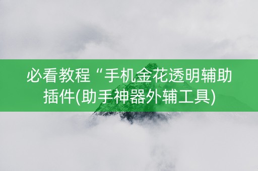 必看教程“手机金花透明辅助插件(助手神器外辅工具)