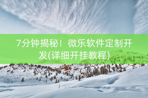 7分钟揭秘！微乐软件定制开发(详细开挂教程)