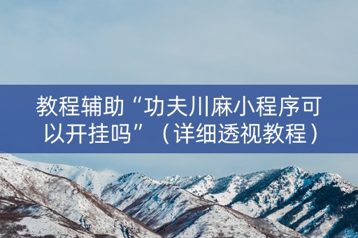 教程辅助“功夫川麻小程序可以开挂吗”（详细透视教程）-哔哩哔哩