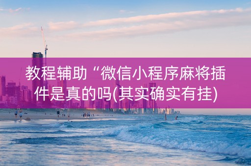 教程辅助“微信小程序麻将插件是真的吗(其实确实有挂)