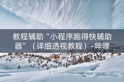 教程辅助“小程序跑得快辅助器”（详细透视教程）-哔哩哔哩